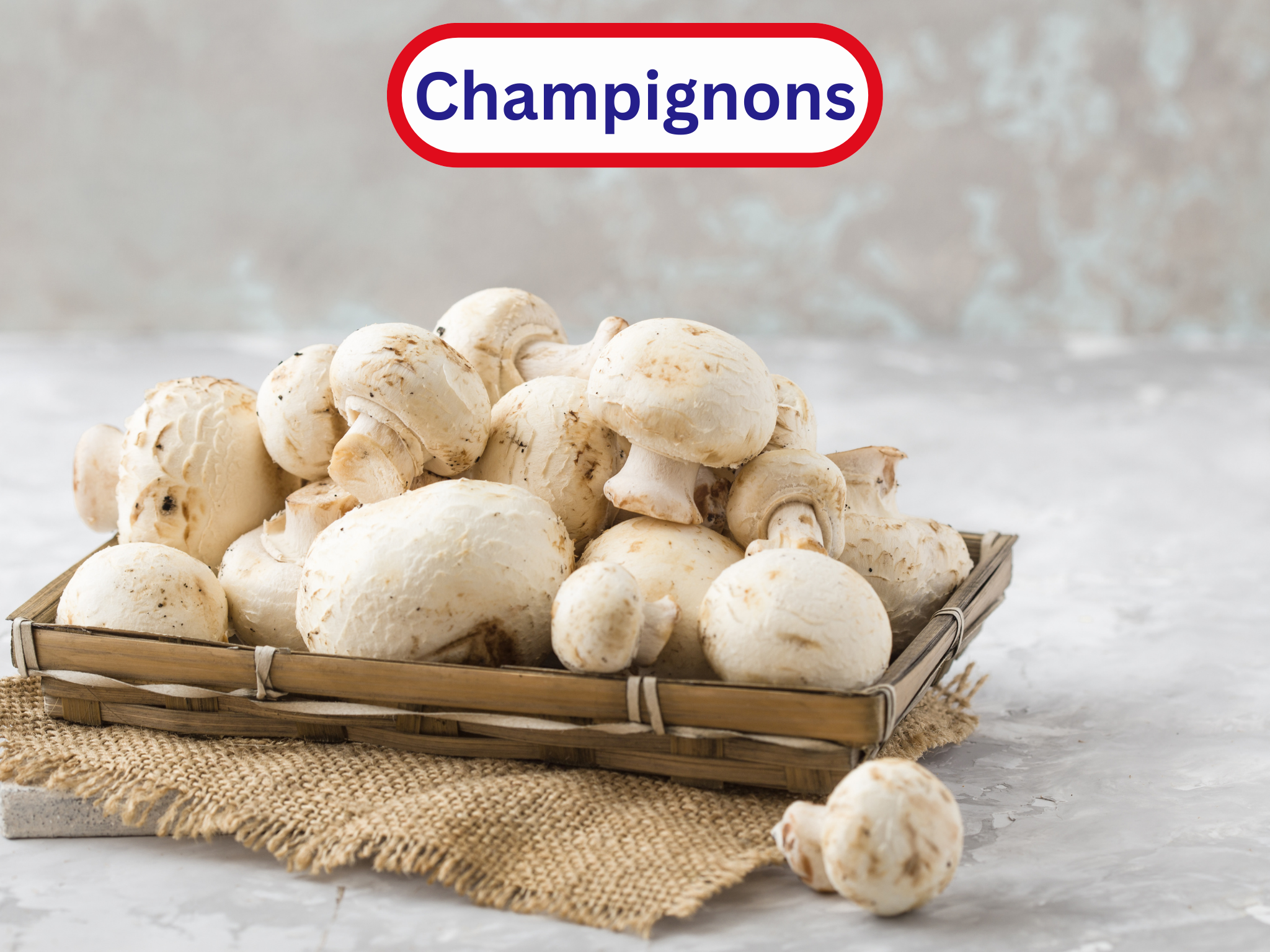 Champignons