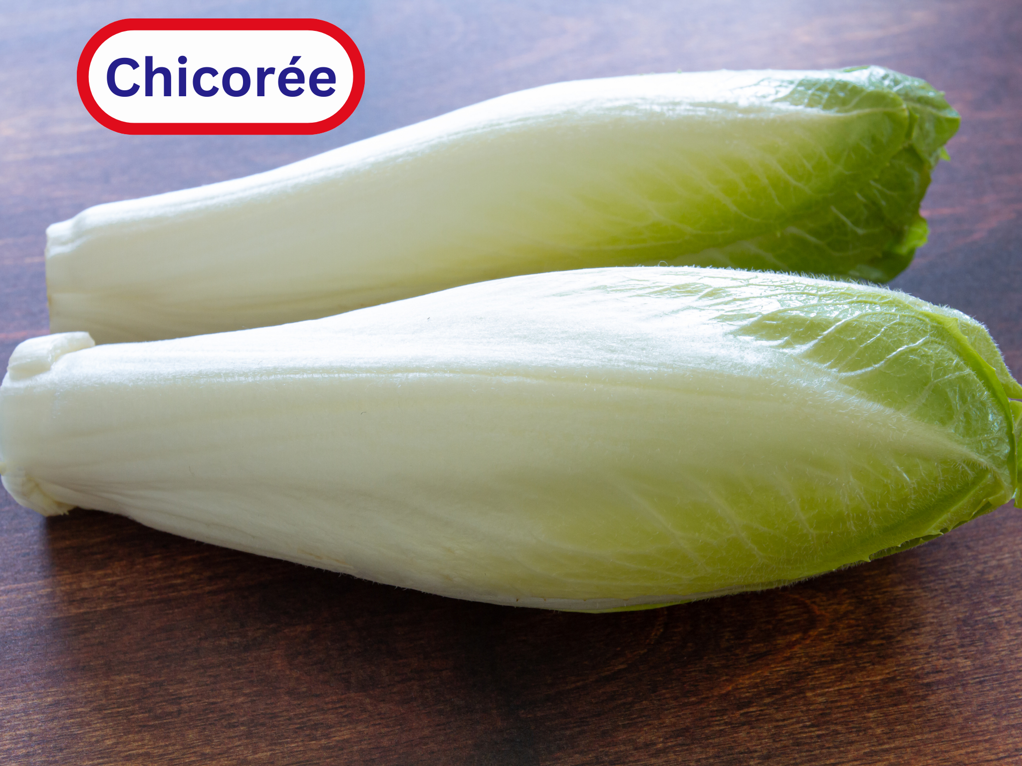 Chicorée