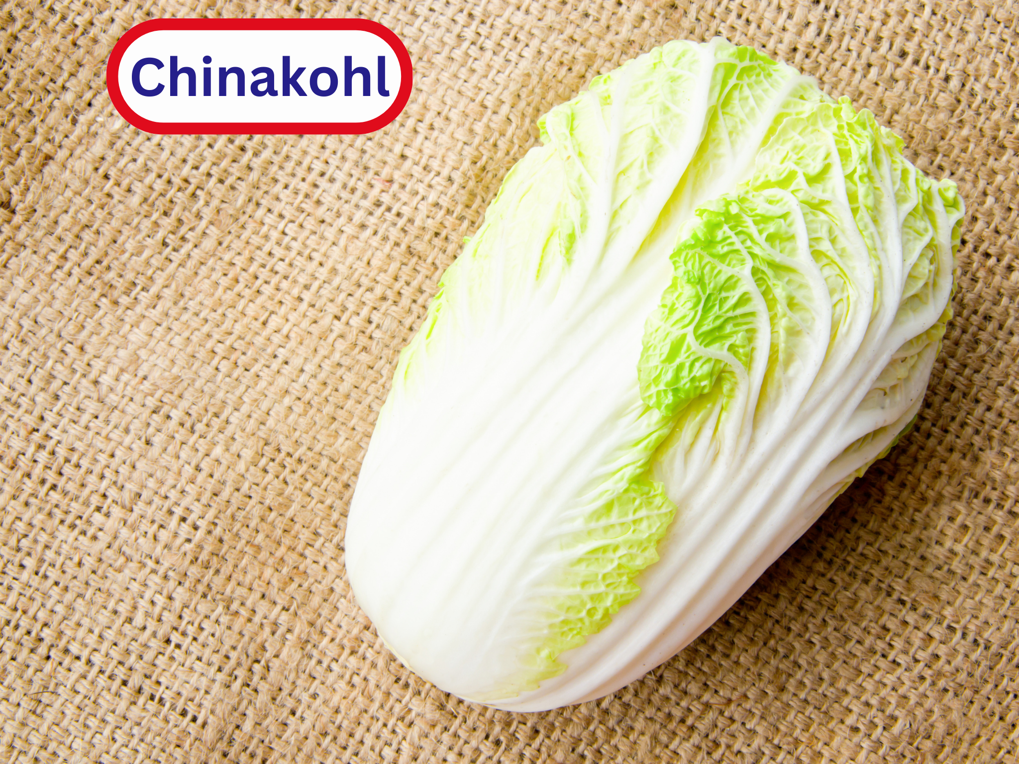 Chinakohl