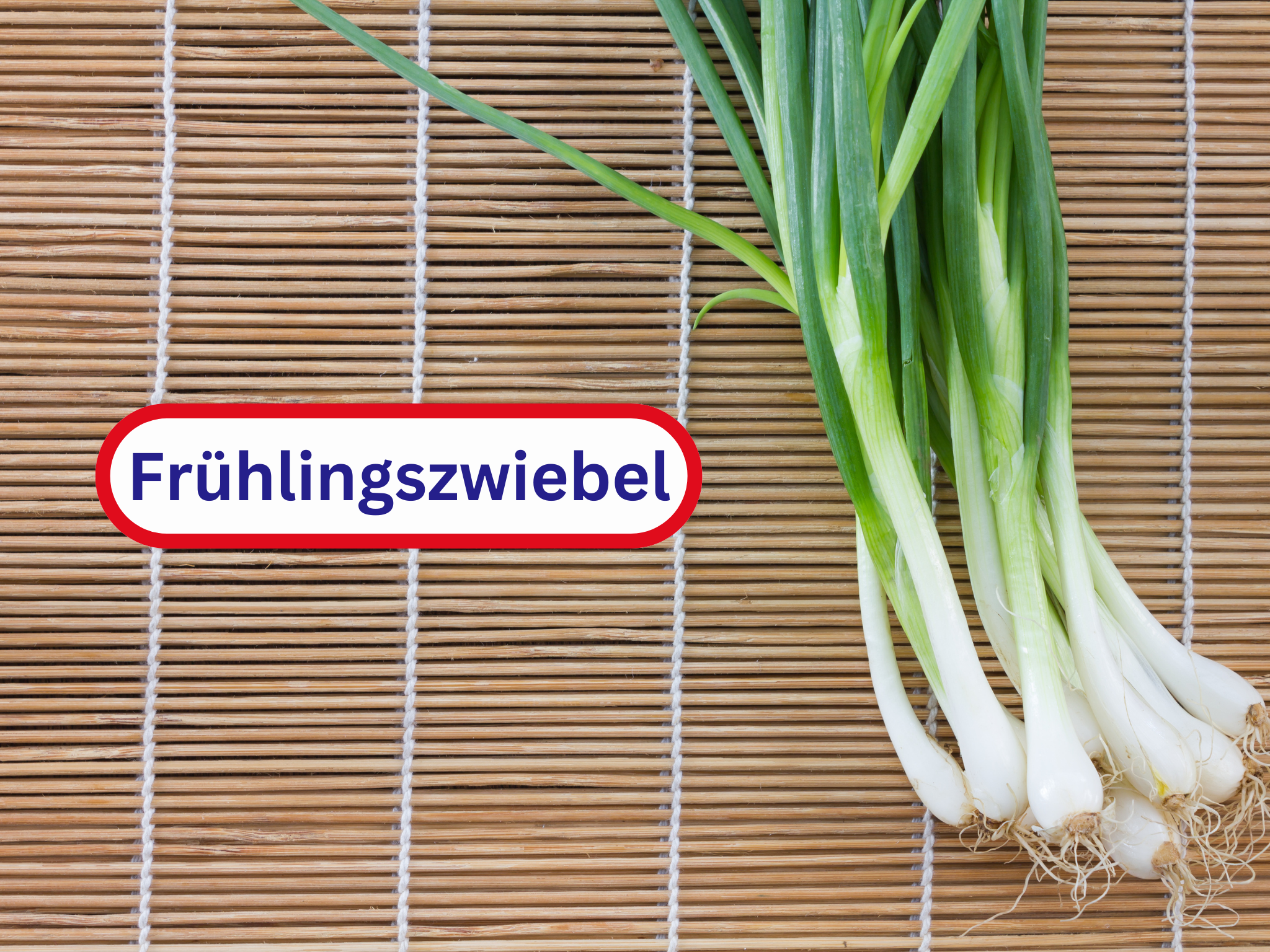 Frühlings-, Lauch- oder Winterzwiebel