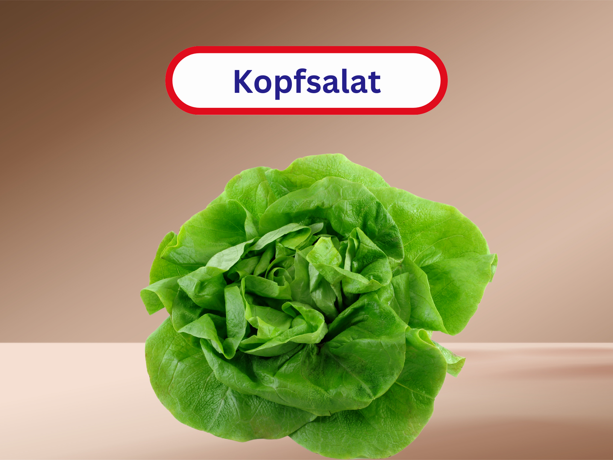 Kopfsalat