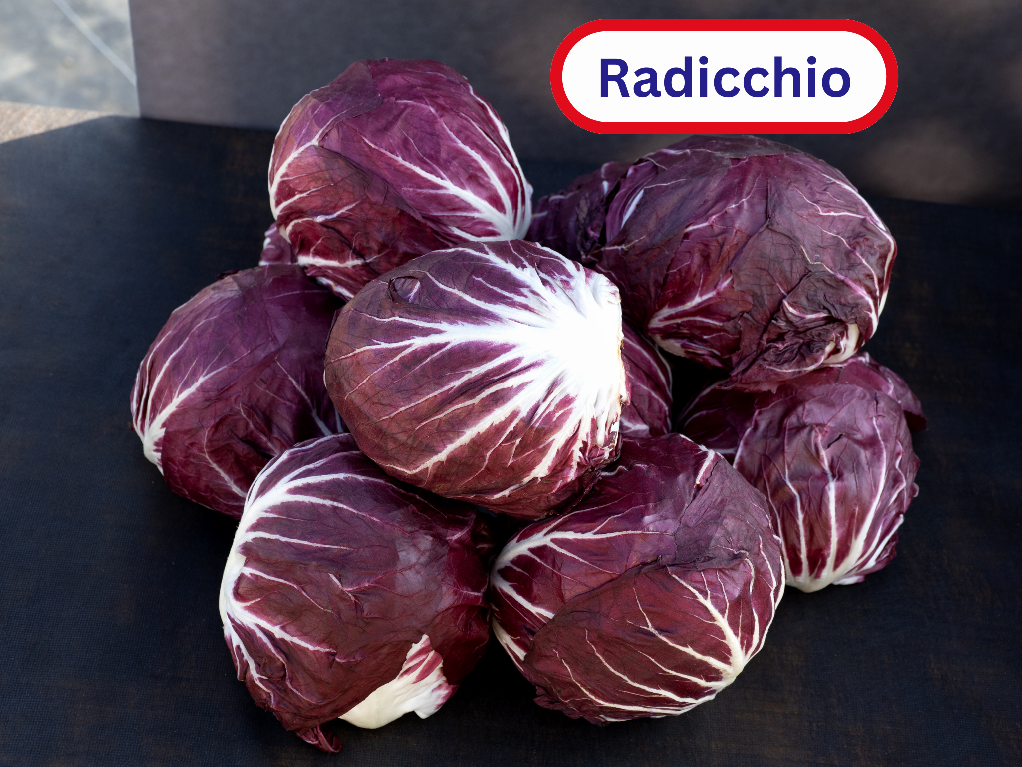 Radicchio