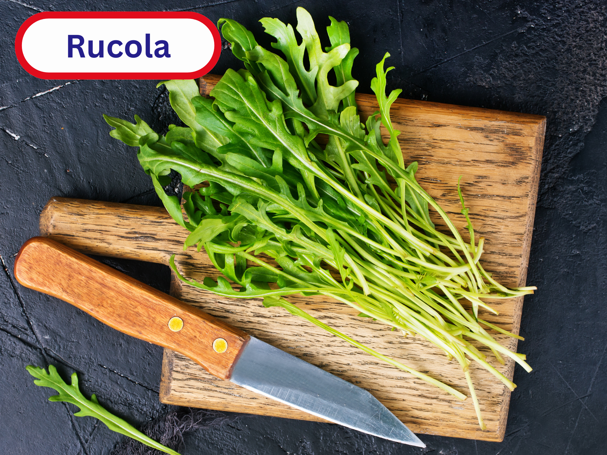 Rucola
